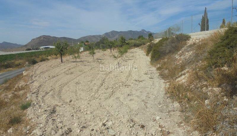 Foto 3260b6ce-3814-4677-8749-998cff46f62a. Masia a Romana (la)