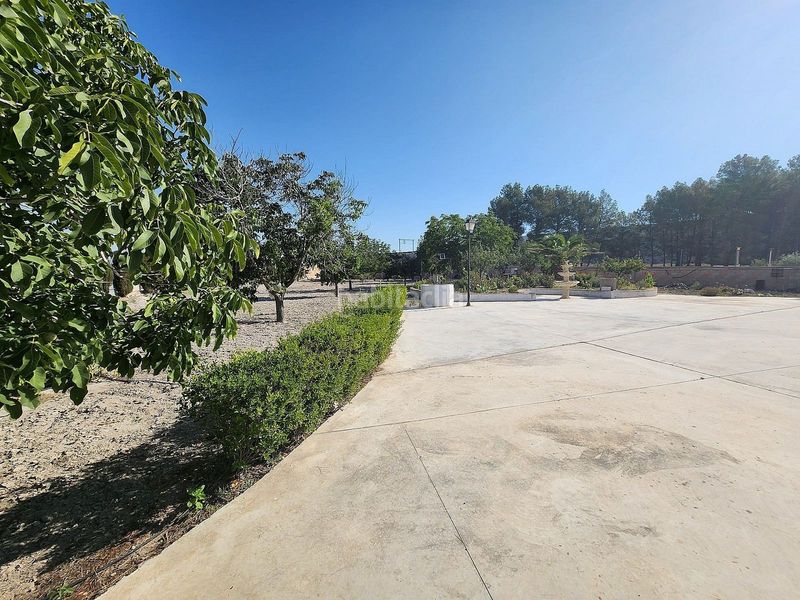 Foto 649d9a9c-0be5-4232-a1c2-6405a02fb36f. Masia a Las Virtudes Villena