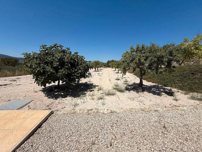 Foto 83613474-ebe5-48f8-adbb-761bced0a8c9. Xalet amb xemeneia calefacció aparcament piscina a Castalla