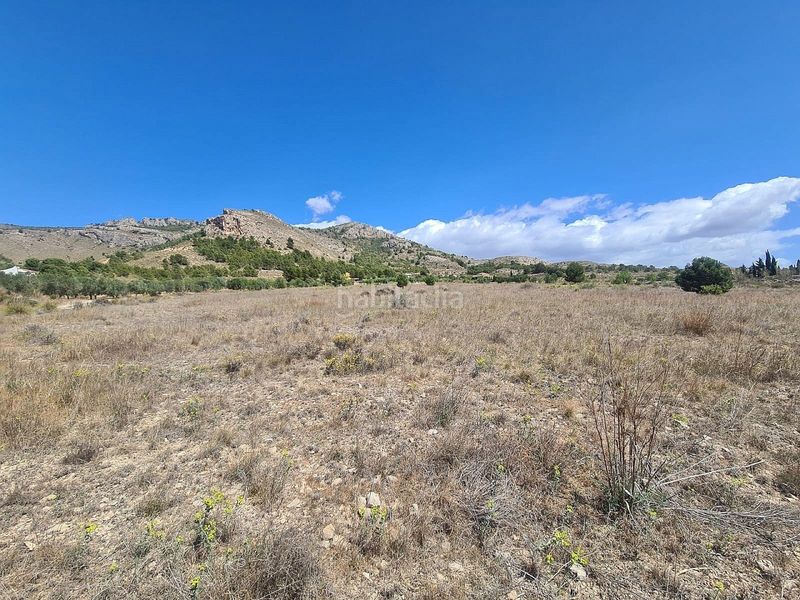 Foto b1c9eb08-e9c7-4a79-a1eb-b67552b382d3. Finca rústica a Las Tiesas Villena