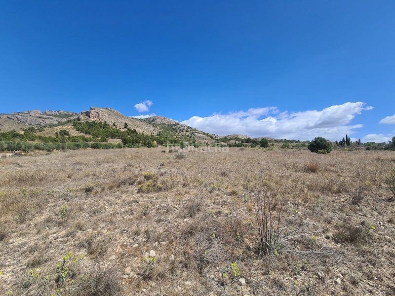 Foto dd344cbc-202d-417d-be64-c31e905cb268. Finca rústica a Las Tiesas Villena
