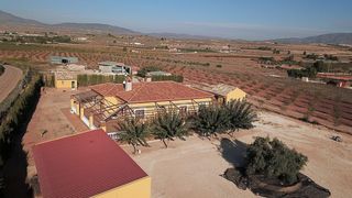 Xalet a Pinoso. Preciosa villa independiente de 3 dormitorios y 2 baños en pinos