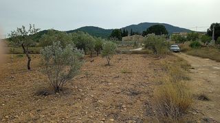 Finca rústica a Monòver