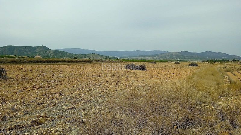 Foto 96c29b4a-2714-44bb-8ae1-cd72ea546e71. Finca rústica a Monòver