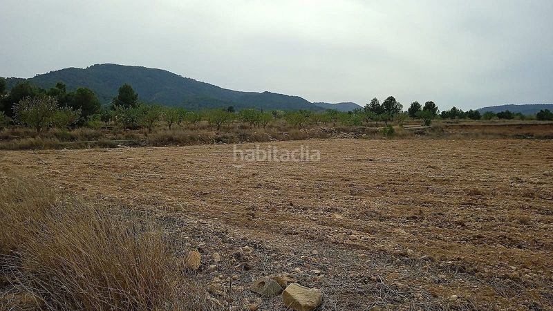 Foto e359ca50-e6ea-4d03-a0a3-b864e06fa04a. Finca rústica a Monòver