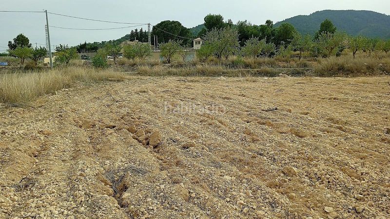 Foto e57c9993-dd65-42cc-be24-0185931947de. Finca rústica a Monòver