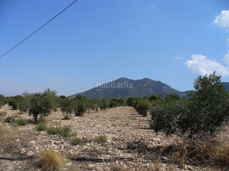 Foto af9b2cf7-c421-489c-a8d0-731736c2e59b. Finca rústica terreno en venta . en Biar