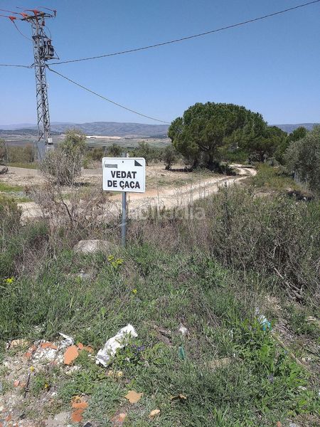 Foto e5093657-7467-4c57-8b5e-ebd69b912551. Finca rústica terreno en venta . en Biar