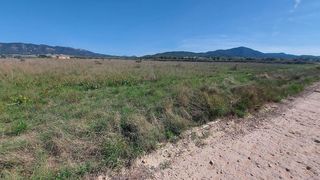 Rural plot in Salinas