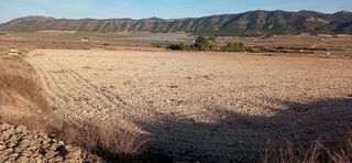 Rural plot in Salinas