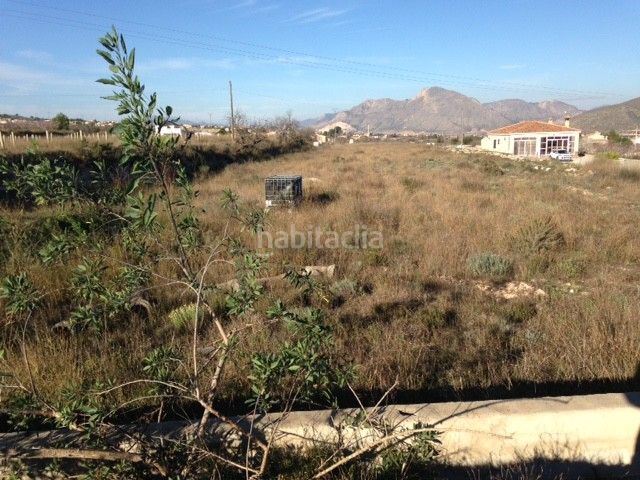 Foto 2c467869-8ffa-4eea-ba58-bd97863e40b3. Finca rústica a Hondón de los Frailes