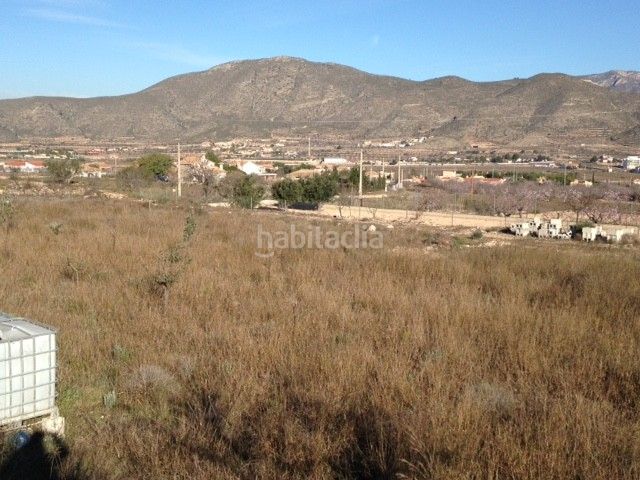 Foto 5091de0d-9745-4d83-9745-66da37072d0c. Finca rústica a Hondón de los Frailes