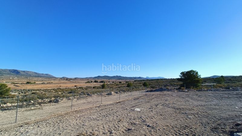 Foto 15b2fb04-b919-4260-9abf-5b5ce9e7ba1f. Chalet en Pinoso