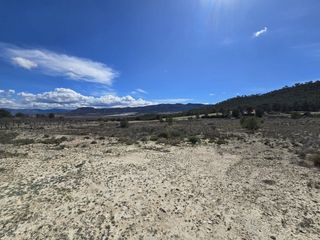 Finca rústica en Salinas