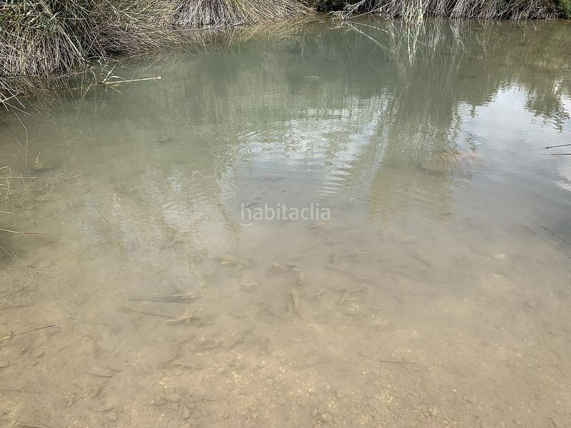 Foto 4faf0342-258a-4d81-9173-8266ed948584. Masia a Abanilla