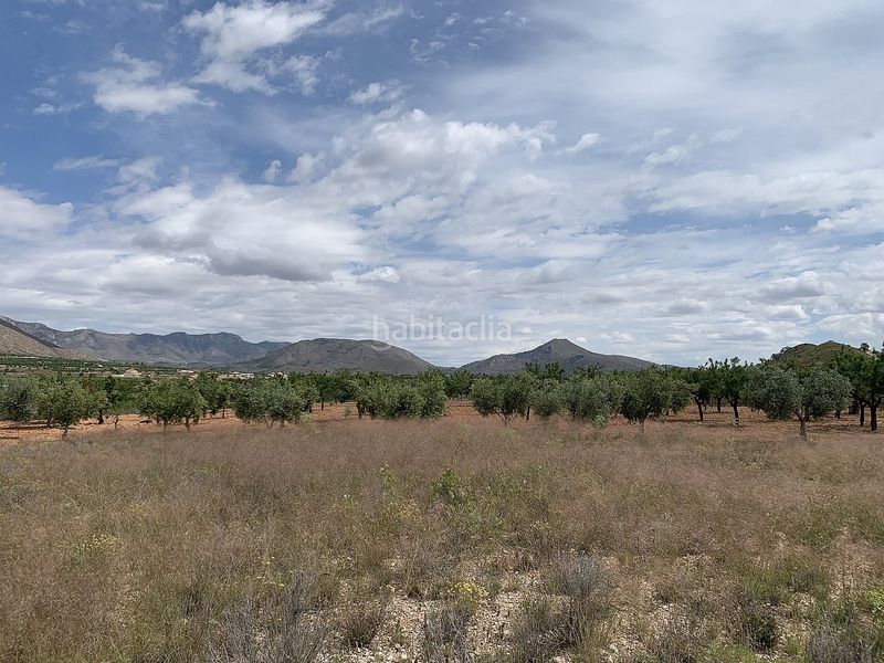 Foto 91d688e5-4352-48ff-8a5c-13d45b5e2ef0. Masia a Abanilla