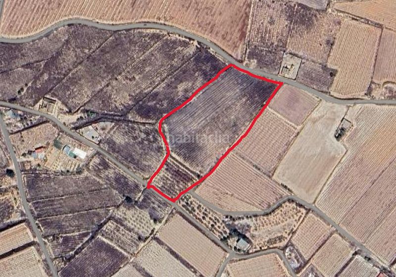 Foto e7bf3727-a354-4083-a784-4c0e3213e675. Finca rústica parcela edificable cerca en Monforte del Cid