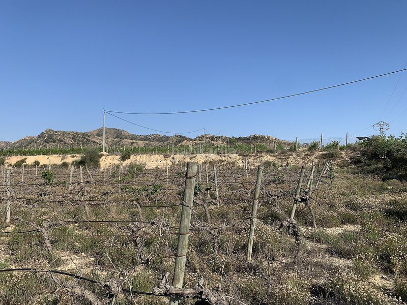 Foto 0682f646-a362-4479-aa0d-347b1f9540b8. Finca rústica parcela edificable cerca en Monforte del Cid