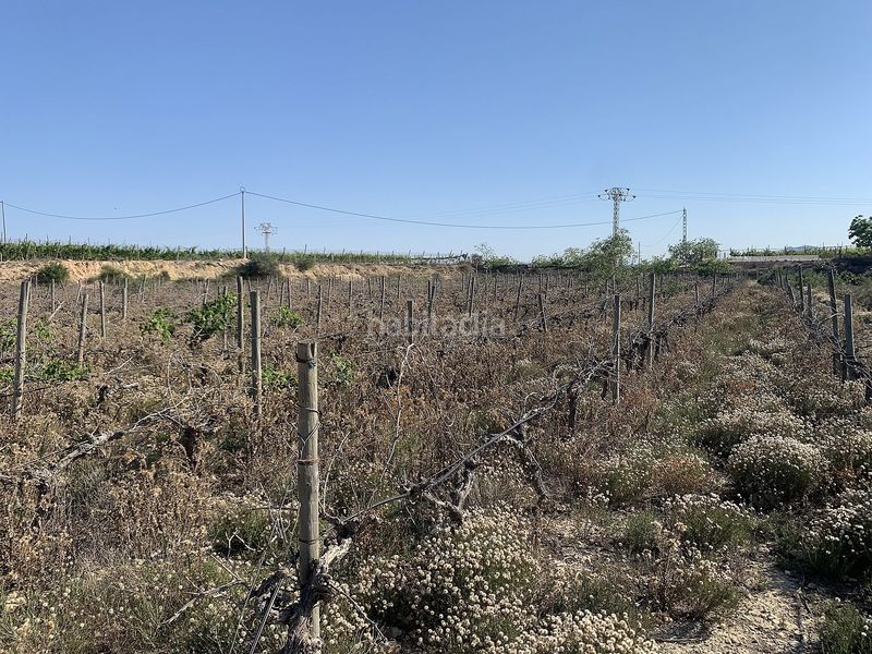Foto 4d3f8e75-1985-480b-bace-9d7162f5796a. Finca rústica parcela edificable cerca en Monforte del Cid