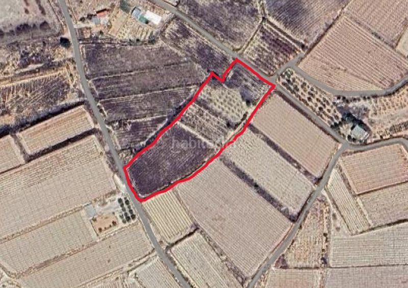 Foto 6f53fc62-60e4-4d52-b08e-7f86d1cf856f. Finca rústica parcela edificable cerca en Monforte del Cid