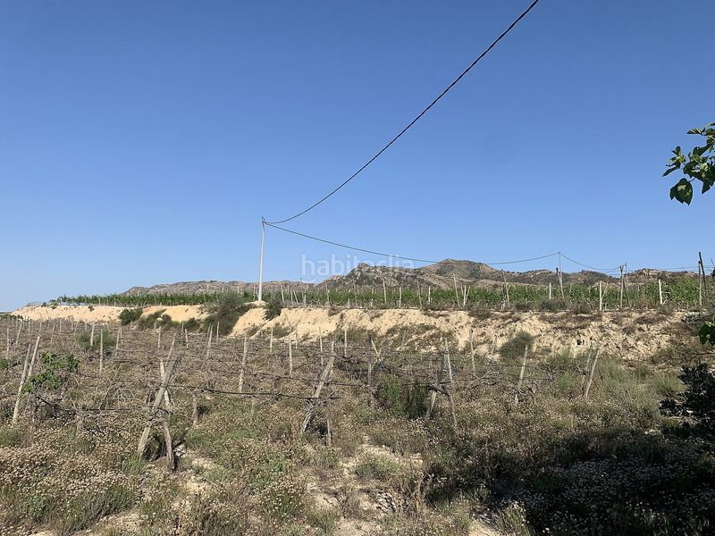Foto 9a78b41b-8769-4052-8f0c-c214df963900. Finca rústica parcela edificable cerca en Monforte del Cid