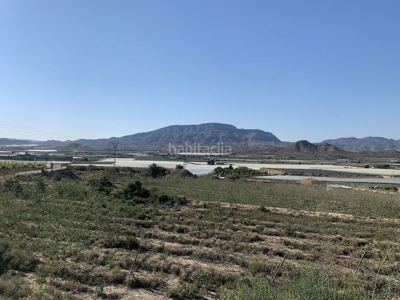 Foto bc39efbe-5e5a-4343-b260-1f11beac6e02. Finca rústica parcela edificable cerca en Monforte del Cid