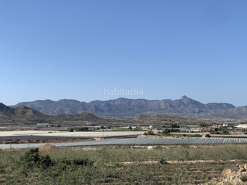 Foto bd259133-e993-442e-92d5-334fad0af5af. Finca rústica parcela edificable cerca en Monforte del Cid