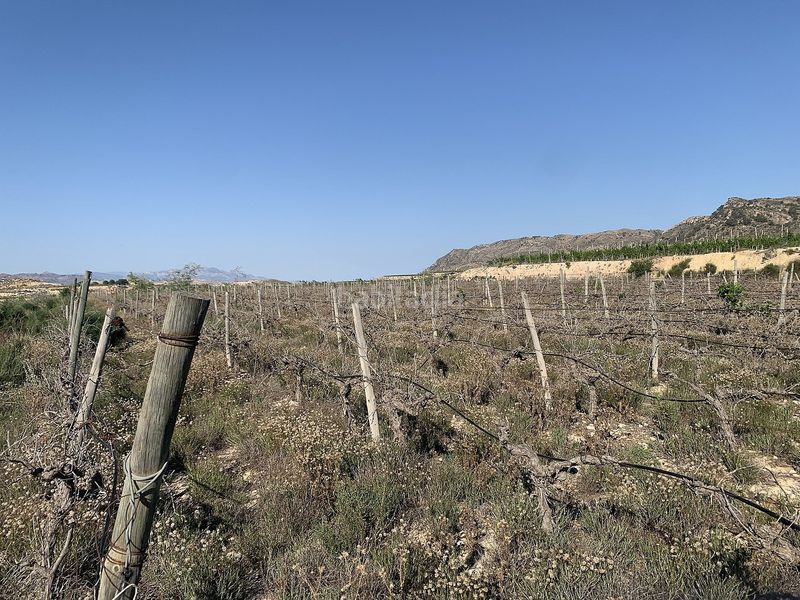 Foto f0d97ca4-fdcf-41e6-839a-9a28ed237731. Finca rústica parcela edificable cerca en Monforte del Cid
