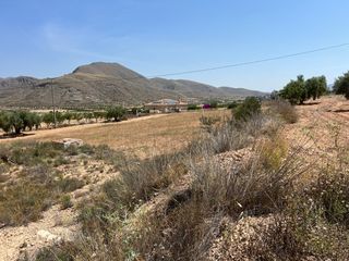 Landgut in La Murada - Los Vicentes