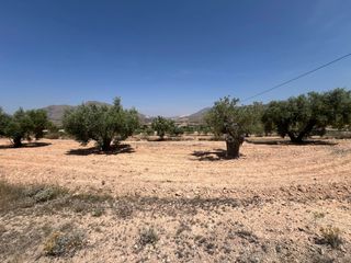 Landgut in La Murada - Los Vicentes