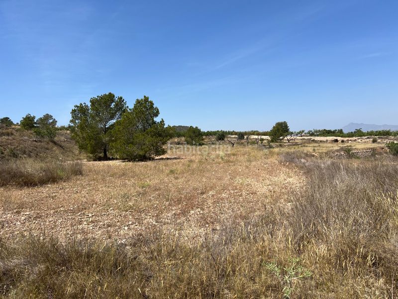 Foto 3bdd7e7f-a10e-44c0-a579-611d294370c9. Finca rústica a La Murada - Los Vicentes Orihuela