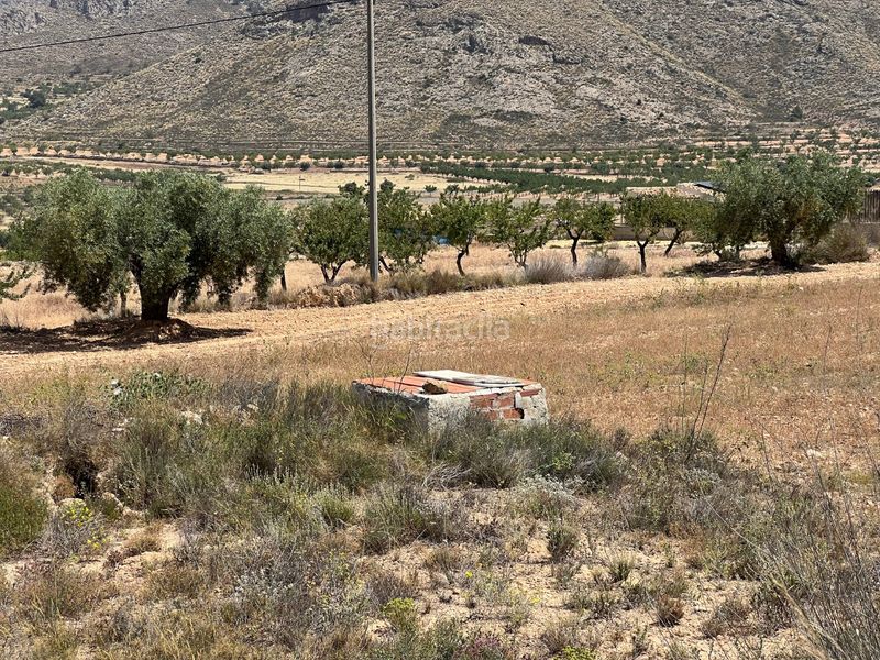 Foto 4270a607-ceae-4bba-bad5-c96be76e930a. Finca rústica a La Murada - Los Vicentes Orihuela