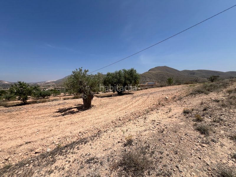 Foto 46517849-f903-4c93-aa39-c76b912ede97. Finca rústica a La Murada - Los Vicentes Orihuela