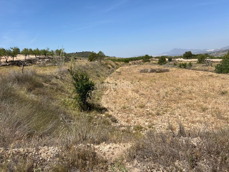 Foto 49c82f84-af10-432c-ab70-ce31c51dfe18. Finca rústica a La Murada - Los Vicentes Orihuela