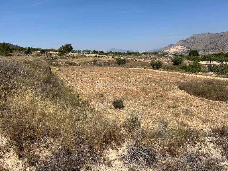 Foto 5d2383e9-d2c1-4a98-a8e0-99ac9b5f16fb. Finca rústica a La Murada - Los Vicentes Orihuela