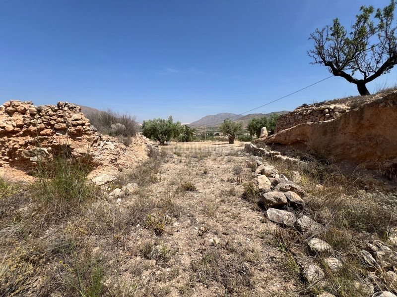 Foto ad7c260b-bb83-4d8d-94c2-53296a3795b3. Finca rústica a La Murada - Los Vicentes Orihuela