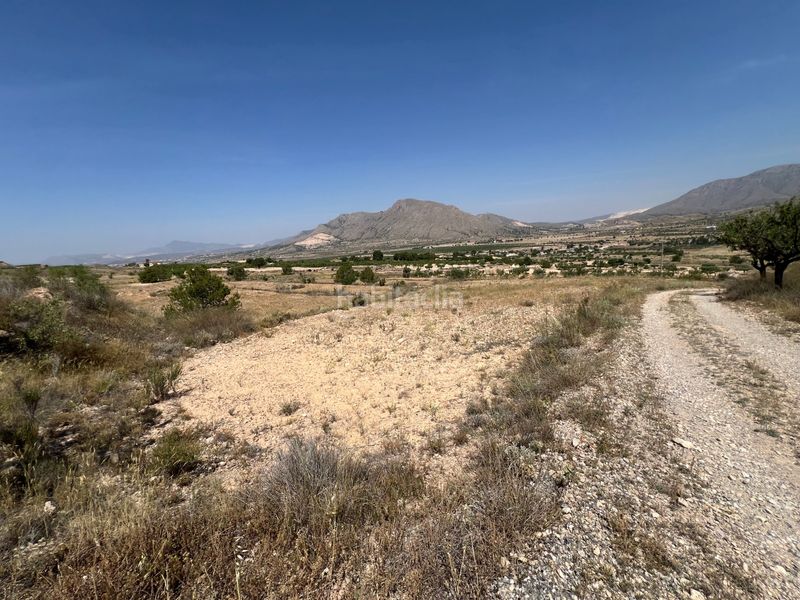 Foto bdae2779-c52c-4352-bf14-0876c0a7e79c. Finca rústica a La Murada - Los Vicentes Orihuela