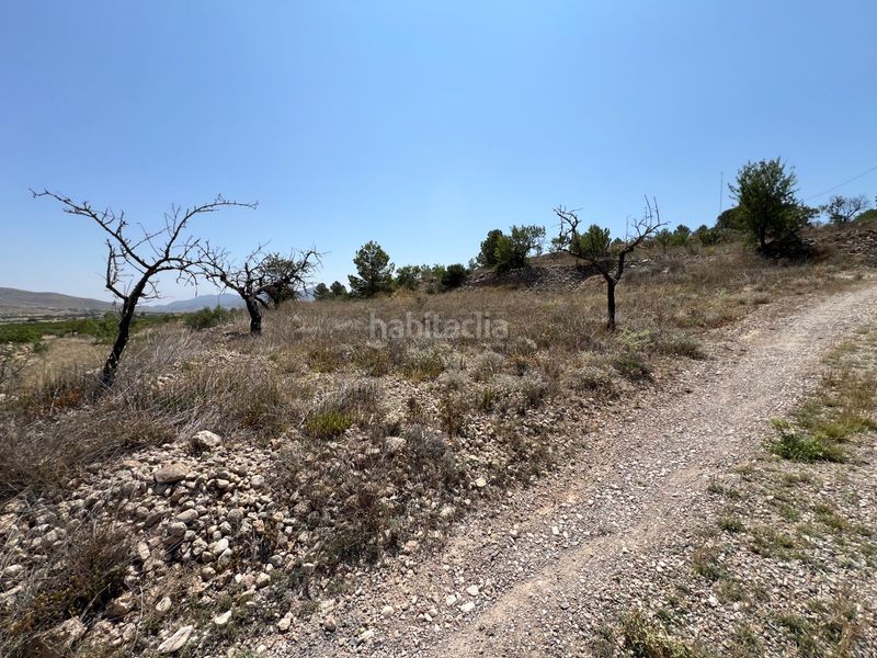 Foto ed41f638-7823-4ac1-b8ef-b8387081b199. Finca rústica a La Murada - Los Vicentes Orihuela