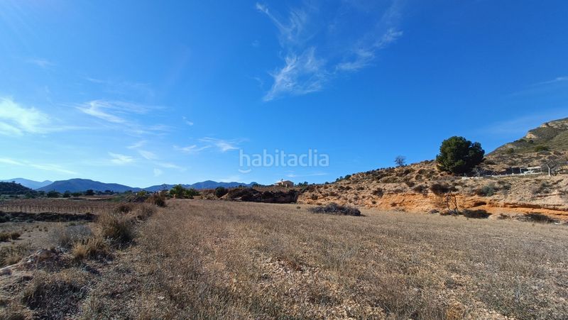 Foto c45b3dcc-a8dd-4bfc-83be-442278f1257a. Xalet a Novelda