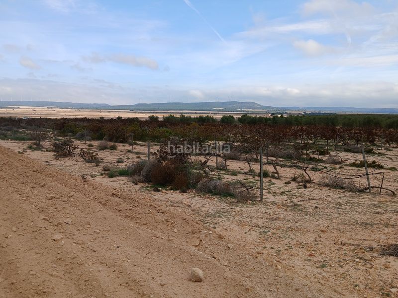 Foto 13c8f698-d969-46c3-aa71-0ab6e9d1a515. Finca rústica a Yecla