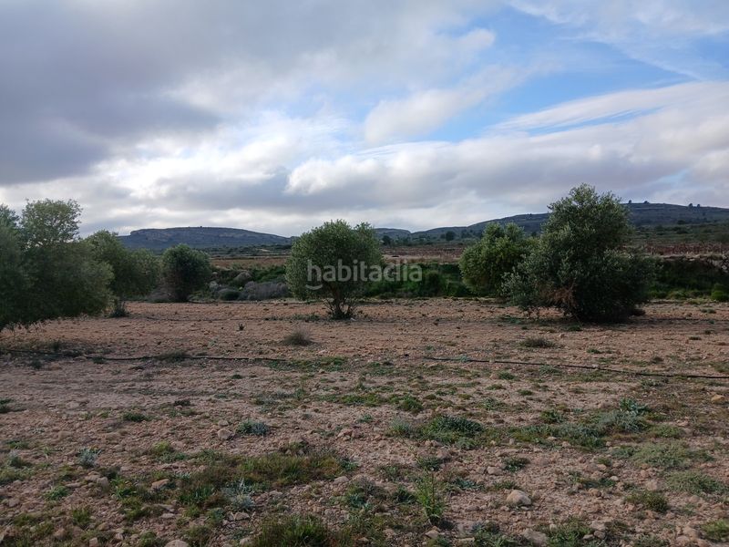 Foto 5606aea5-d310-4413-9fb6-96244845c64b. Finca rústica a Yecla