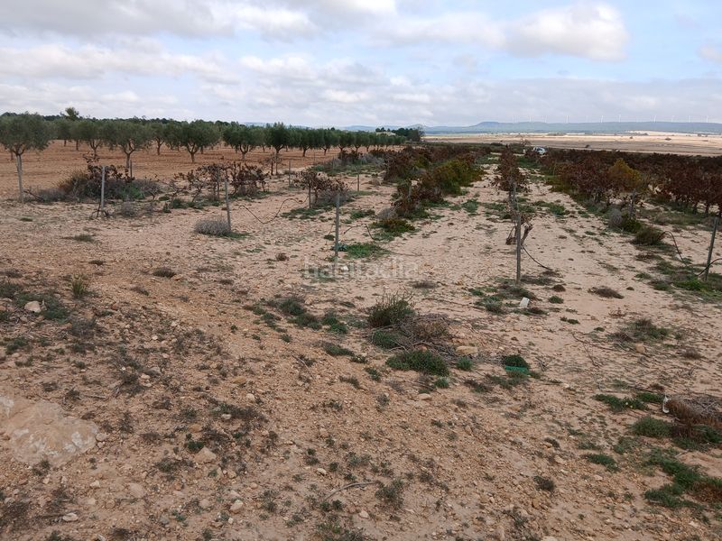 Foto aab68057-b368-4a66-9ceb-dd03df7afc2d. Finca rústica a Yecla