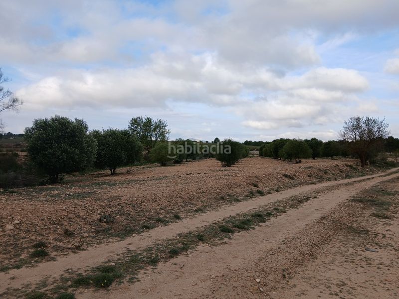 Foto f21c8da4-de27-4782-8f51-e2268d9bbc96. Finca rústica a Yecla