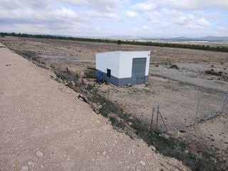Fondo rustico in Yecla