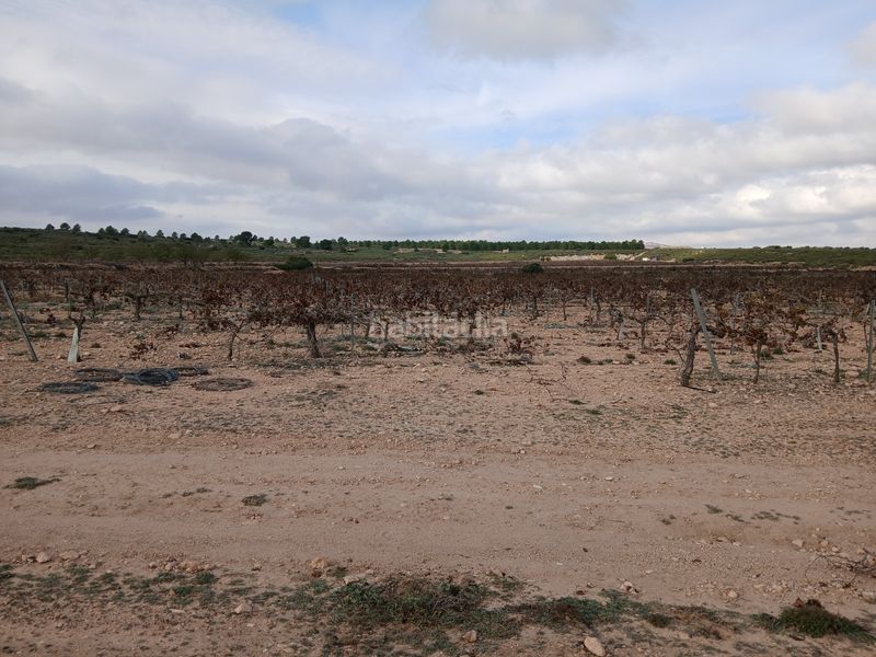 Foto 2272d4e9-e721-49c0-93b5-5ced8125f95d. Finca rústica a Yecla
