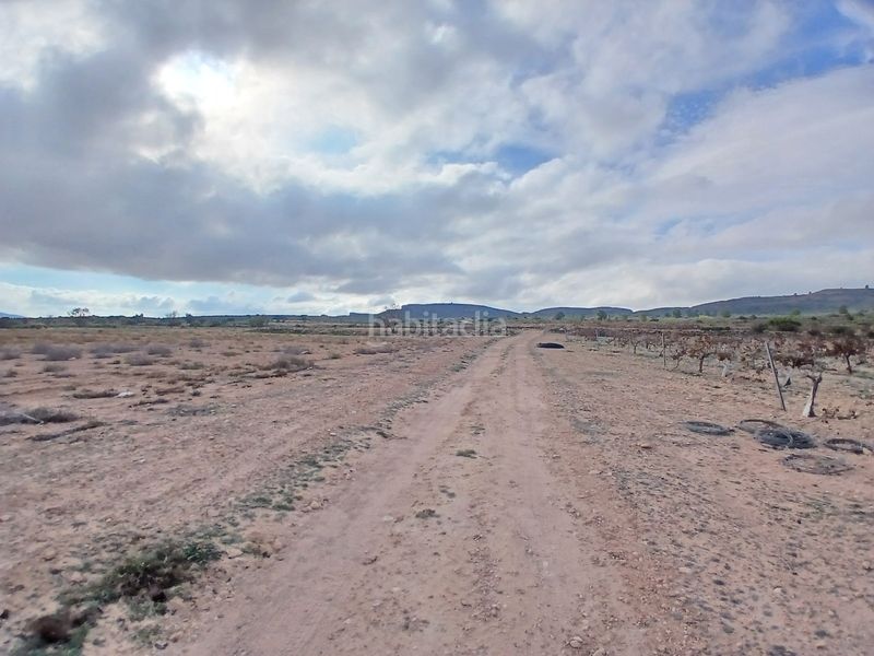 Foto 4add4f34-5232-4e5b-b70b-332b8b21449d. Finca rústica a Yecla
