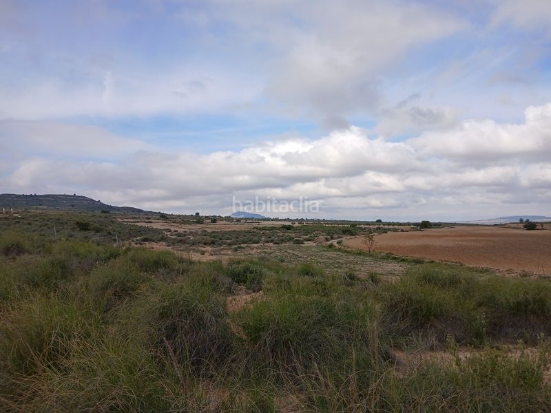 Foto 966450e8-15d7-4d67-ba55-be97281e461e. Finca rústica a Yecla