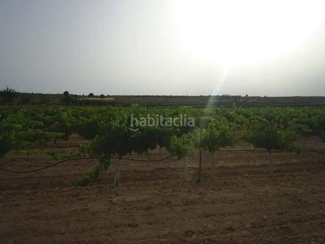 Foto bcff210e-7ad8-4e5a-9463-c297a24913eb. Finca rústica a Yecla