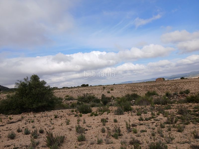 Foto da6bb2c2-a68c-4d01-956e-2b79ac0a8644. Finca rústica a Yecla