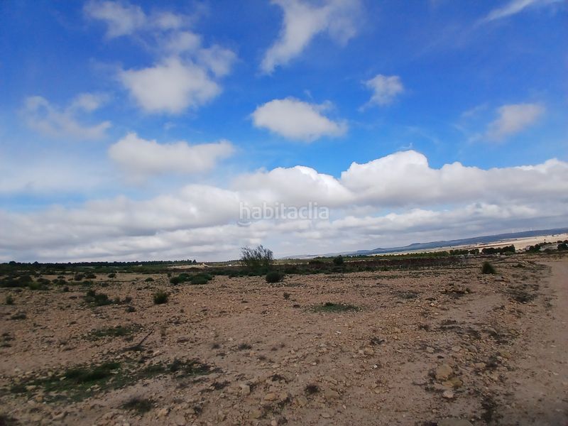 Foto ee80b8e0-2c7e-40e7-99c7-c582ea63b29d. Finca rústica a Yecla